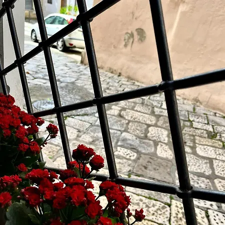 Ca'sa' Holiday home *